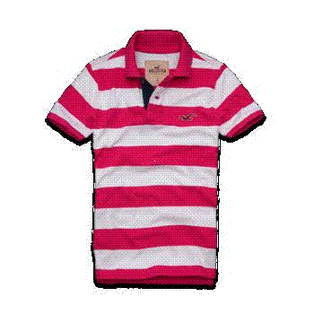 Camisa Hollister